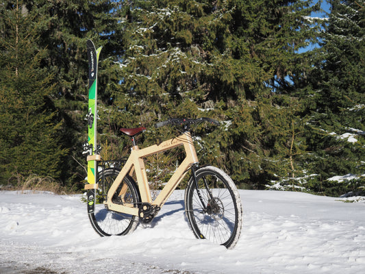 Ski holder for bike